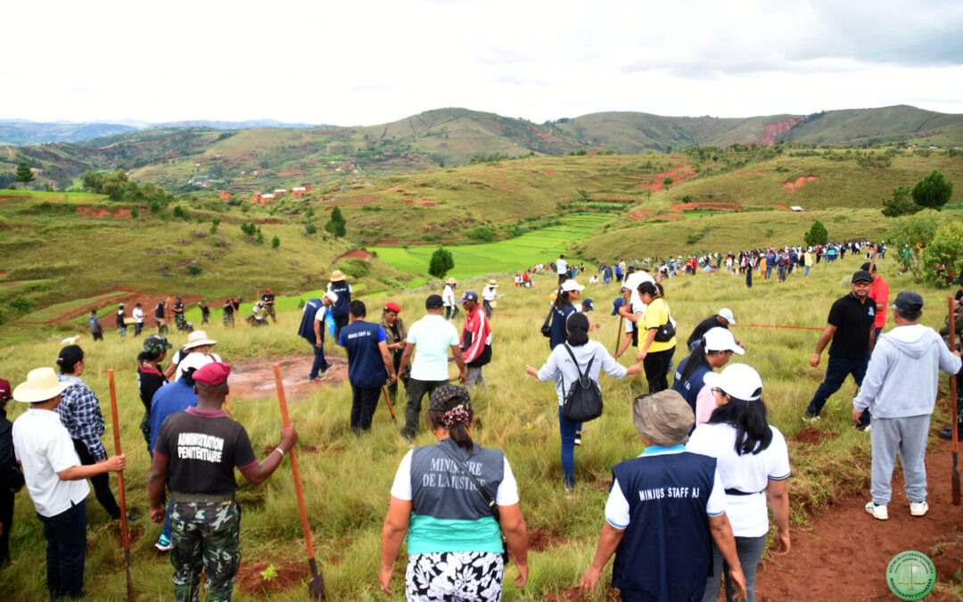 THE PLANTING OF TREES IN TSIAFAHY BY THE MINISTRY OF JUSTICE