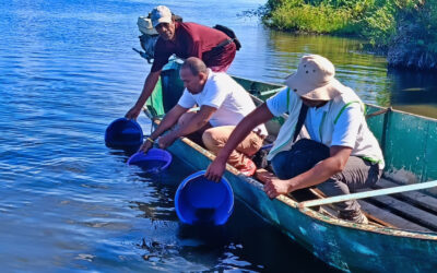 Fish Stocking in Andohabe and Ankidihidy Lakes: A Boost for the SAVA Region